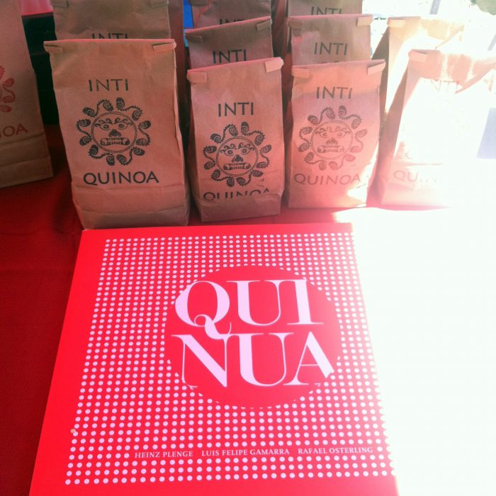 Quinoa-Chia Freezer Bars, Vegan + Gluten-Free - The Colorful Kitchen